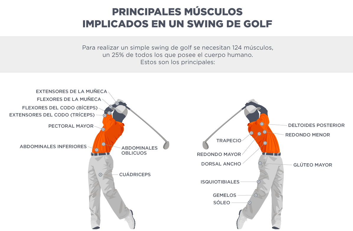drdelgado-infograficc81a-musculaturaswing-v2_1.png